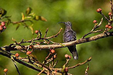 《漫威蜘蛛侠2》新更新上线 修复问题改进体验